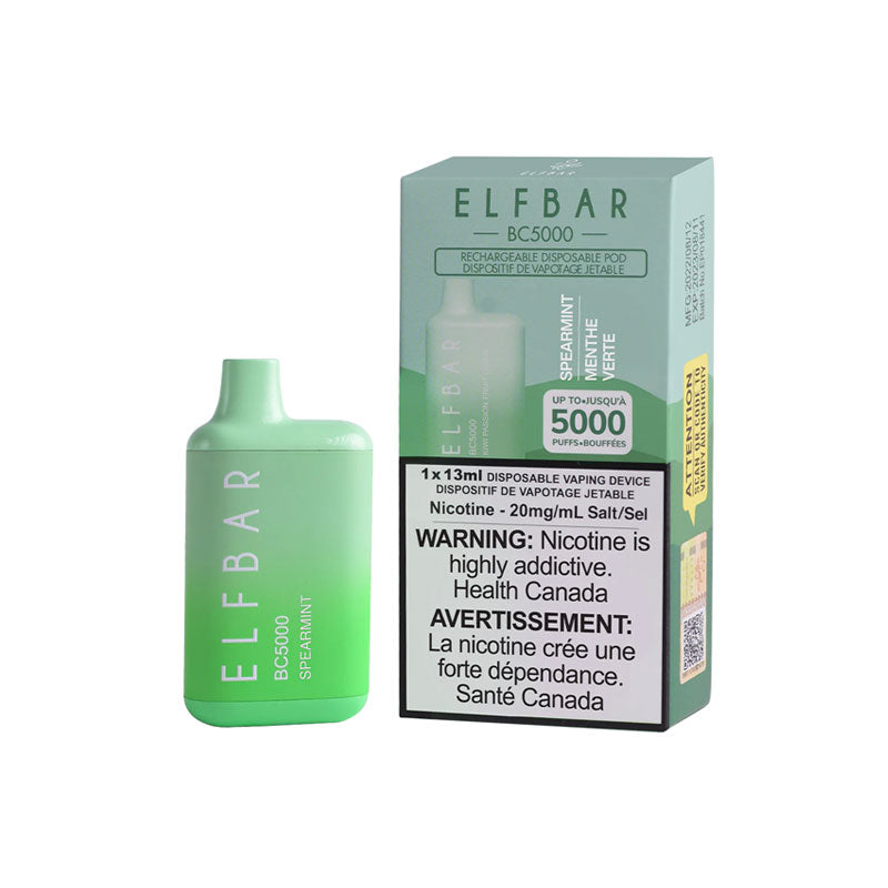 ELF BAR BC5000 Spearmint Disposable