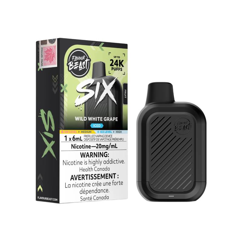 Flavour Beast SIX 24K Wild White Grape disposable vape with retail packaging