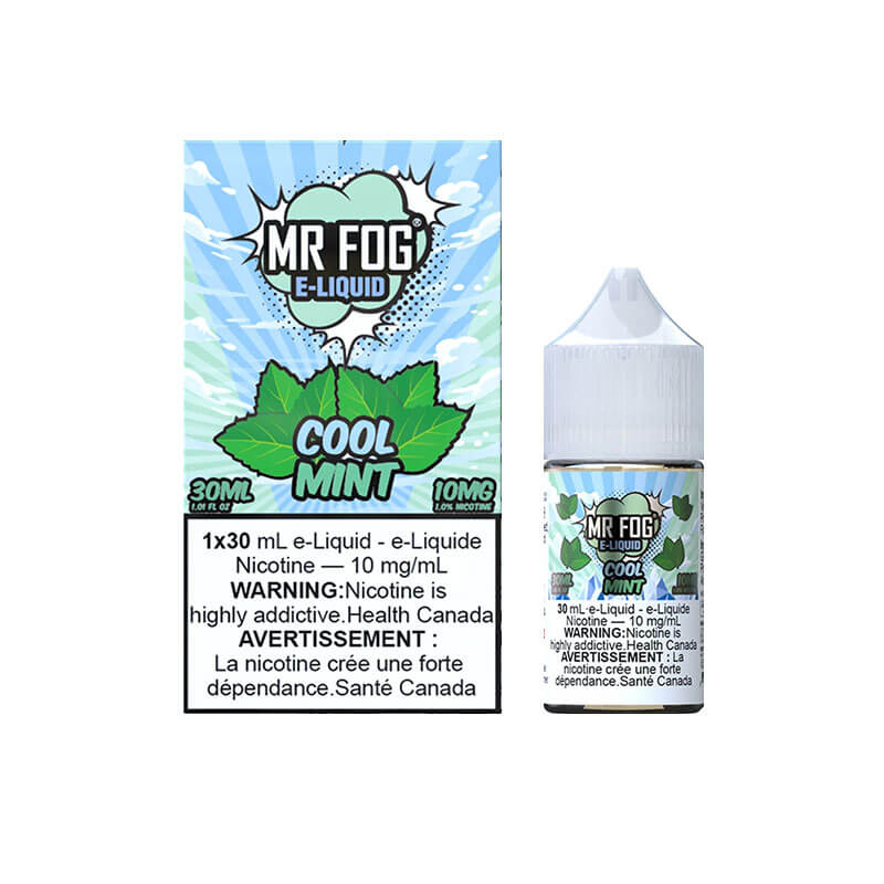 Mr Fog Cool Mint Salt E-Liquid